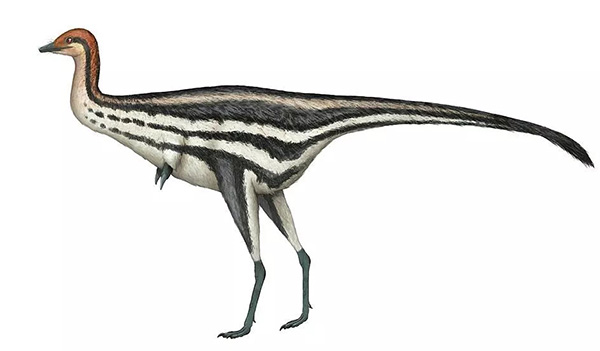 开云电竞app下载安装