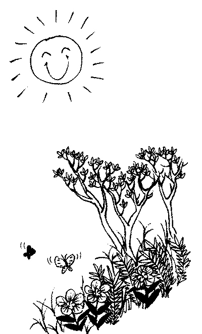 开云电竞app下载安装