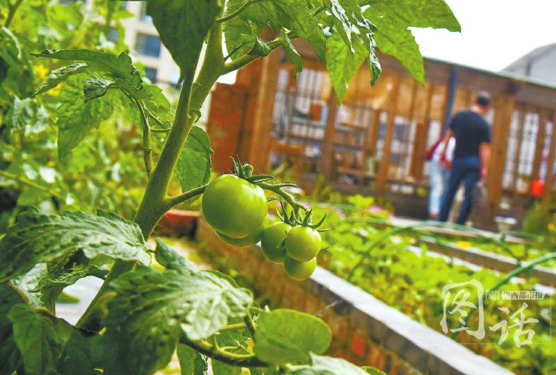 “开云电竞官网”
JDG管图片大全图集(图1) 开云电竞app下载安装