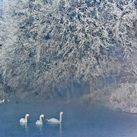 ‘开云电竞’
赵丽颖拍戏“撞车” 现场图片曝光 独自趴在车上(图4) 开云电竞