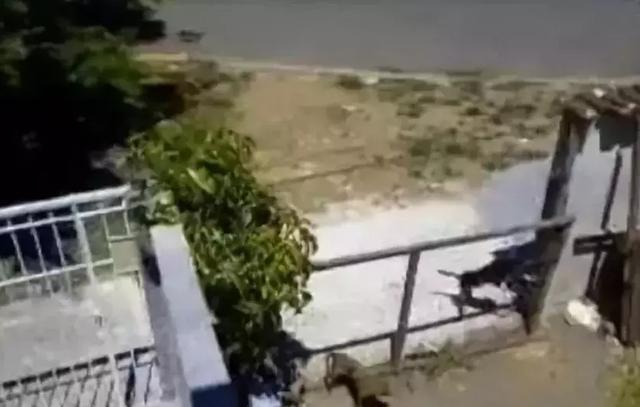 江苏卫视《我们仨》今晚开播 沙溢胡可首度携手圆梦_开云电竞官网(图4) 开云电竞