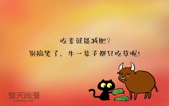 开云电竞app下载安装