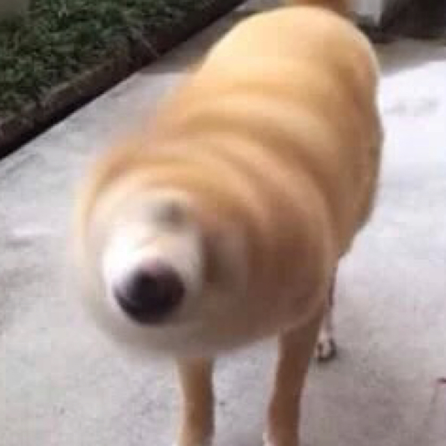 赵丽颖与迪丽热巴争女一?《无尽天灯》电视剧男主竟是他_开云电竞app下载安装(图1) 开云电竞app下载安装