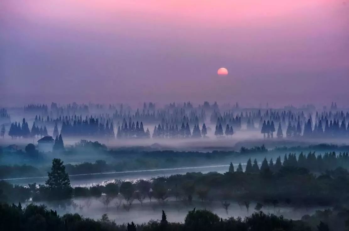 开云电竞_郭俊辰实力演绎“冷殿下” 助力《惹上冷殿下》成功“出海”(图4) 开云电竞
